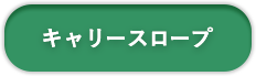 キャリースロープ